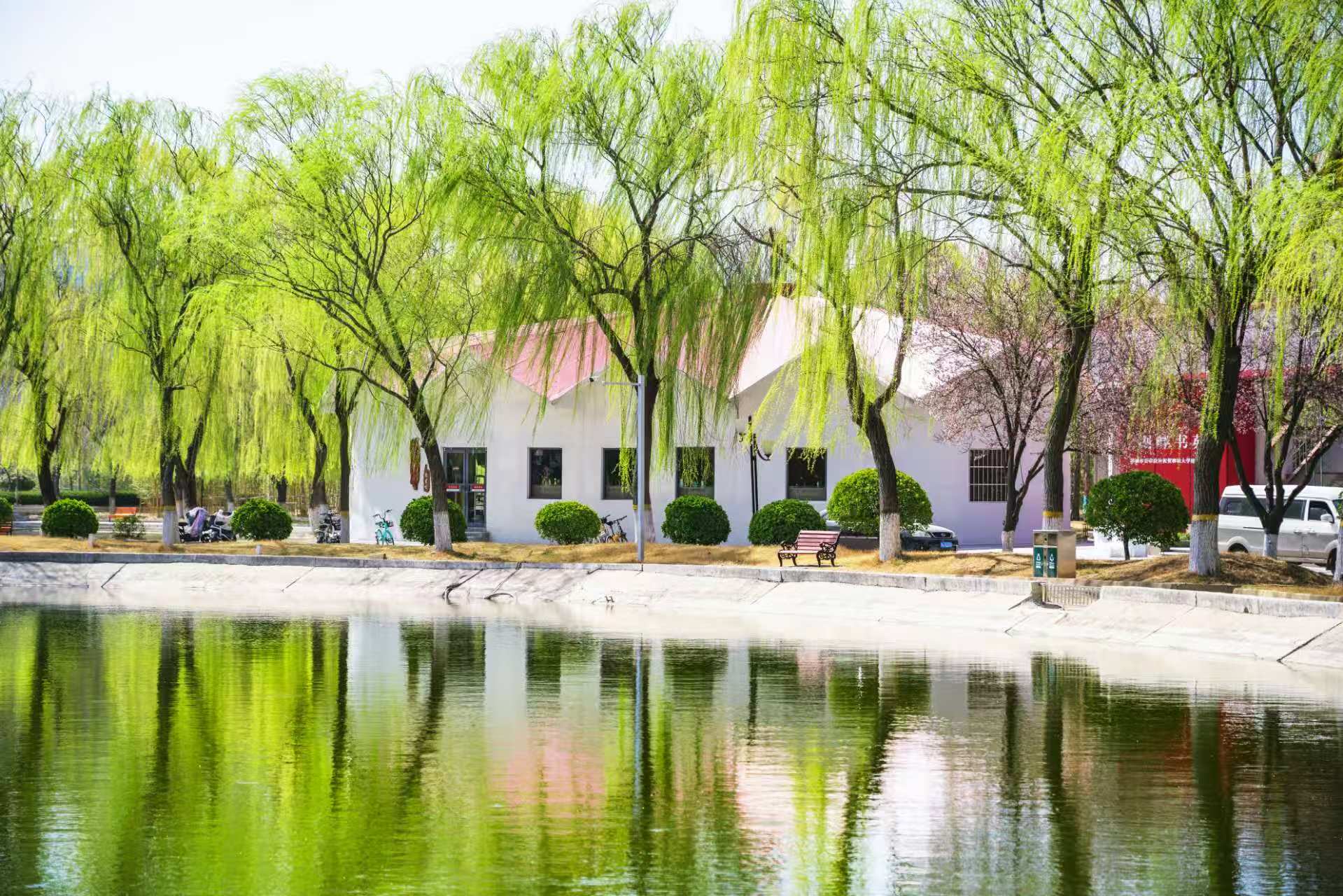 聊大讲坛：虑稀缺标签的动态数据流挖掘